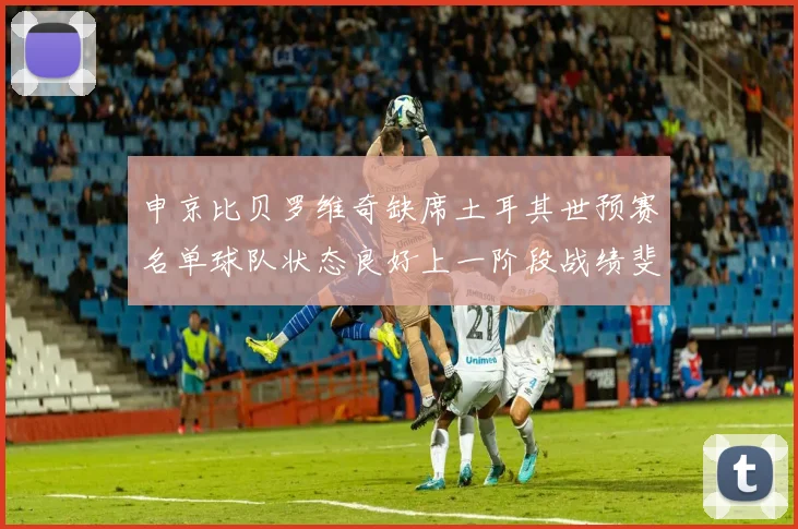申京比贝罗维奇缺席土耳其世预赛名单球队状态良好上一阶段战绩斐然